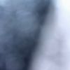 jess.09140