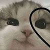 aron._.103