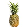 pineapplesze