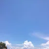 arshintadz