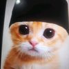 kucingramadan091