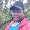 lagat50
