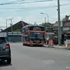 ririnpuji6