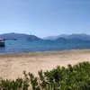 amirasamiab