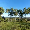 isaacandradecardosojuni1