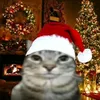 nikita_love_winter