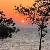 travelandmore1