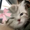 heartz_flw8