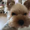 jessorycd