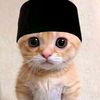 muh.faldi