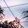 myduyen67897