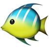 guppygalnj