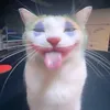 нормис @