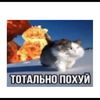 mahmot2000