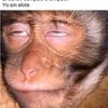 chimongarcia190