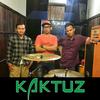 kaktuzband