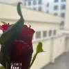 love11love1