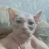 noanhk