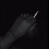 user356521228