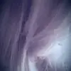 fullhalm