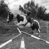 esmexxt