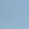 ttjtt11