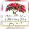 user5205491794463