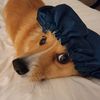 simplybeinghope