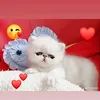 giselabartsch276