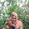 cutix769