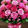 jameshedarshad