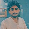 kaleemkaleem5550