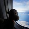 littletravelmonkey