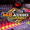 ms_audiominiaturr