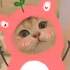 vthhngcm7