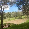 yulicastillopineda3