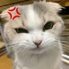 crybaby_k1sh