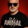 djanimal