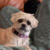 dawna032