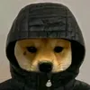 sadiyt_