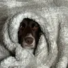 sam.0_9