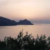 manolo_12355