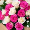 sebrinayesuf55