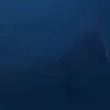 unknownpotato05