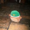 patitofinoxd