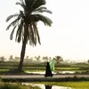 hamzaalkhafaji64