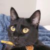 kittyboy1228