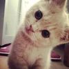 emae_2224