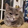 nursepumpkin_resistance