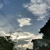 debysaf